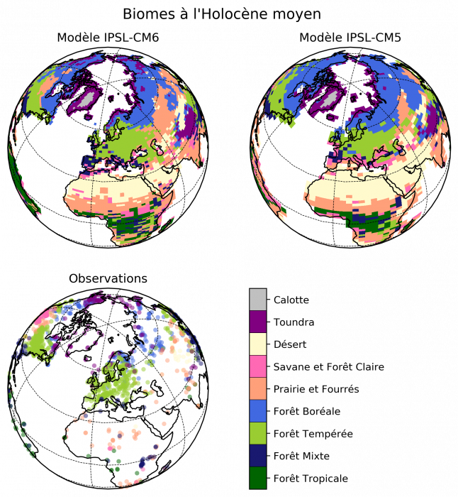 mh_cm6_cm5_megabiome.png
